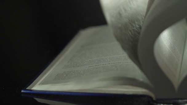 Flippende bladzijden van een boek — Stockvideo