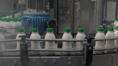 süt ve süt ürünleri fabrikası - beyaz yoğurt şişe bir konveyör