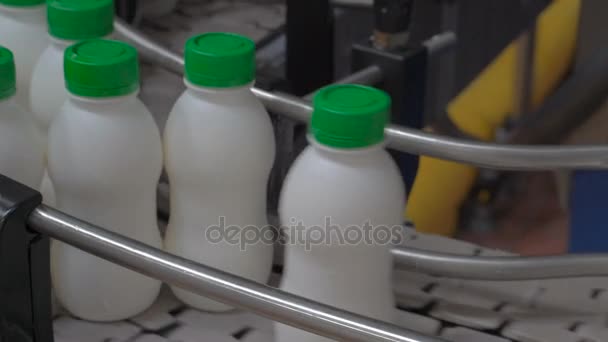 Pabrik Susu. Conveyor dengan botol yogurt . — Stok Video