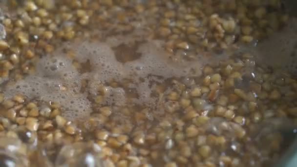 Cocinar grañones de trigo sarraceno en estufa de gas — Vídeo de stock
