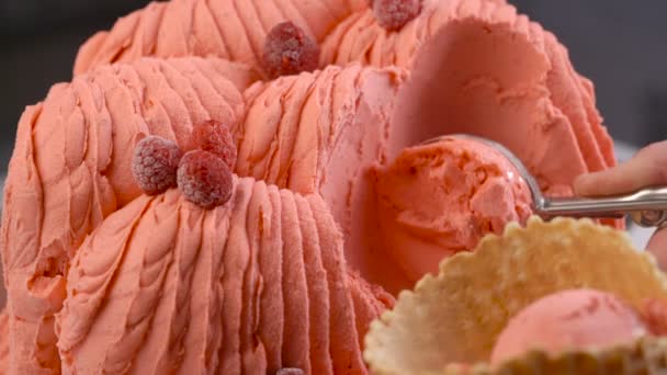 Slow motion raspberry gelato-ijs wordt schepte close-up — Stockvideo