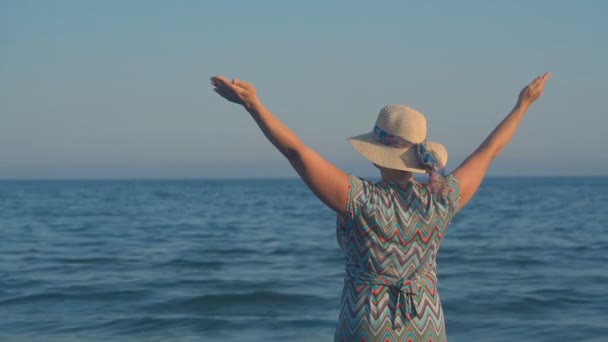 Vue arrière de la femme avec les mains en l'air sur la vue sur la mer. Concept de liberté . — Video