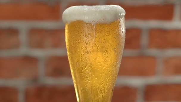 Glass of beer with froth and water drops over brick wall — Stock Video