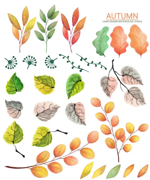 Herfst set aquarel bladeren. Decoratieve hand getekend illustratie — Stockfoto