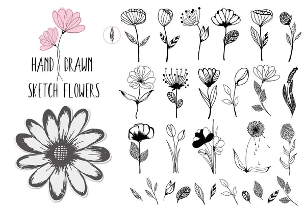 Gyönyörű nagy virágos elemek. 50 kézzel rajzolt doodle vázlatos virágok, levelek, ágak és bogyók. Vector for design cards, esküvői meghívók, poszter, Születésnap, Valentin-napi üdvözlőlapok — Stock Vector