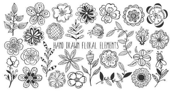 Bahar Çiçekli Elementler Elle Çizilmiş Çiçek Çizimi Desenli Yapraklar Tasarım — Stok Vektör