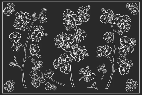 Conjunto Dibujado Mano Sakura Primavera Flores Ramas Árboles Florecientes Elementos — Vector de stock