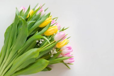 Güzel bahar buket kopya alanı, Bahar için bir beyaz zemin üzerine sarı ve Pembe Lale dilek.