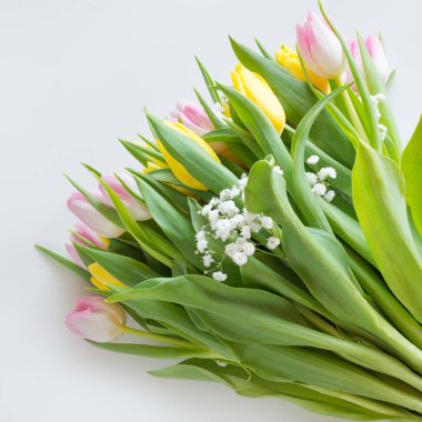 Güzel bahar buket kopya alanı, Bahar için bir beyaz zemin üzerine sarı ve Pembe Lale dilek.