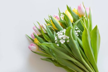 Güzel bahar buket kopya alanı, Bahar için bir beyaz zemin üzerine sarı ve Pembe Lale dilek.