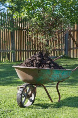 Bir çiftlikte toprak dolu Bahçe-el arabası.