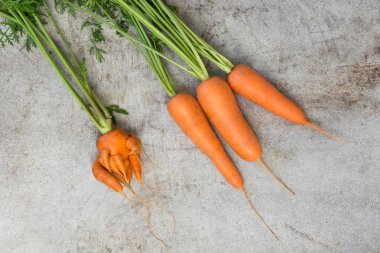 Taze organik havuç yeşil başında eski tablo ile. Doğru ve anormal bir kavram. Uzay kopyalayın. Üstten Görünüm.