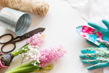 Bahçe kavramı. Natürmort, fide sümbül, Bahçe araçları, makas, sicim, yumrular ampuller Glayöl kopya alanı ile. Üstten Görünüm. Bahar arka plan.