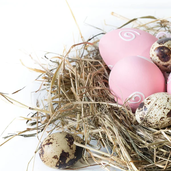 Великодня концепція. Гніздо сіна з розфарбованими рожевими яйцями на білому тлі. крупним планом . — стокове фото