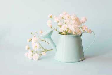 Narin buket gypsophila mavi zemin üzerine mavi tencerede. Metin için yer kopyalayın.