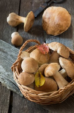 Yemek pişirmek için sepet içinde taze beyaz mantar-çörek mantarı. Güz konsepti.