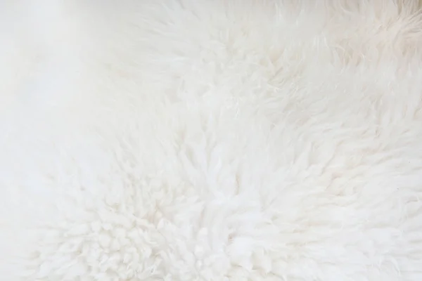 Fond blanc en fourrure rapprochée. Texture, motif abstrait . — Photo