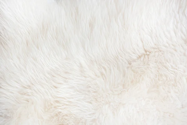 White fur close up background. Texture, abstract pattern. — Stock Photo, Image