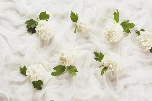 Białe tło włókienniczych i biały kwiat Kaliny, Lebiodka. Tekstura, Abstrakcja Szablon. — Zdjęcie stockowe