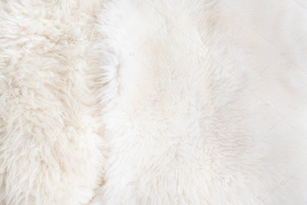 White fur close up background. Texture, abstract pattern.