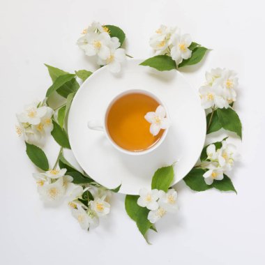 Yasemin yaprakları ve çiçekleri beyaz zemin üzerine yeşil çay çevresinde. Üstten Görünüm ve kavram.