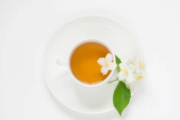 Άνθη γιασεμιού και φλιτζάνι πράσινο τσάι σε άσπρο φόντο. Το Top view και έννοια. — Φωτογραφία Αρχείου