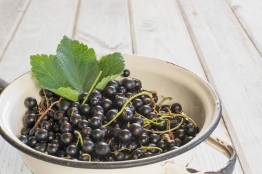 Kevgir dolu taze ahşap arka plan üzerinde siyah kuş üzümü hasat. Yan görünümü. Yaz kendisinden.