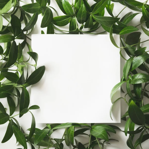 Beyaz arka plan üzerinde Not için boş boş yeşil yaprakların yapılmış yaratıcı düzeni. Üstten Görünüm. Doğa kavramı.