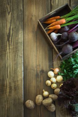 Havuç, kırmızı pancar, soğan, sarımsak eski ahşap tahta üzerinde taze sebze hasat. Üstten Görünüm, rustik tarzı. Kopya alanı.