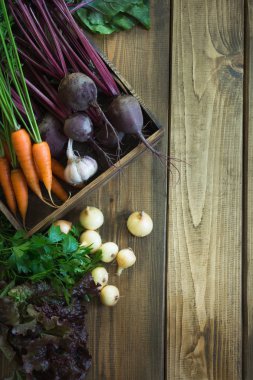 Havuç, kırmızı pancar, soğan, sarımsak eski ahşap tahta üzerinde taze sebze hasat. Üstten Görünüm, rustik tarzı. Kopya alanı.