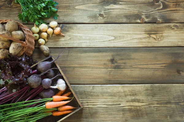 Havuç, kırmızı pancar, soğan, sarımsak eski ahşap tahta üzerinde taze sebze hasat. Üstten Görünüm. Bahçe. Kopya alanı.