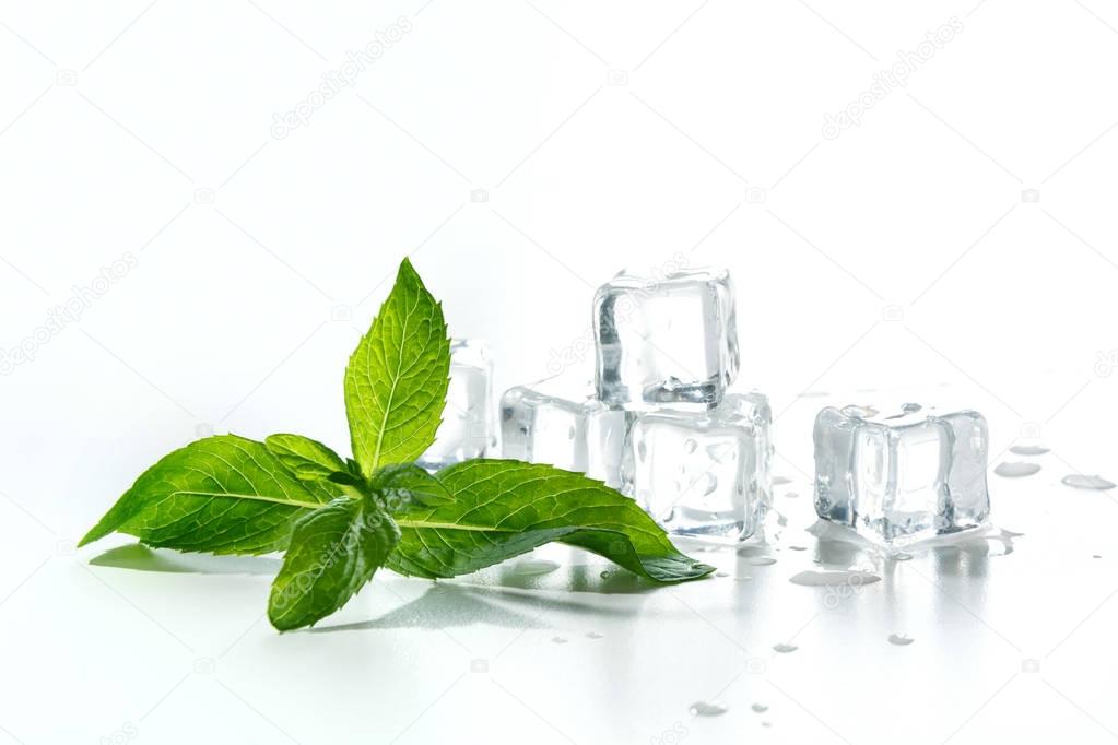 Ice with mint isolated on white.