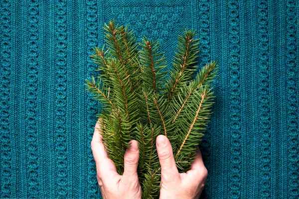Frauenhände halten Tannenzweige auf blauem Strickgrund. Weihnachtskonzept. — Stockfoto