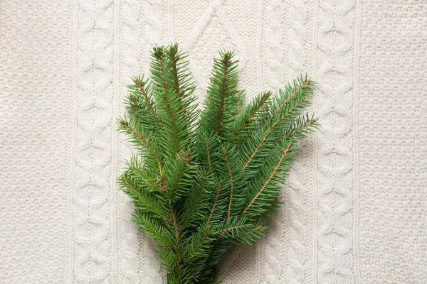 As mãos femininas mantêm ramos do abeto em um contexto tricotado branco. Conceito de Natal . — Fotografia de Stock