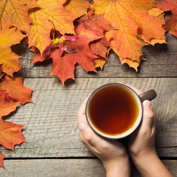 Bir fincan çay elinde, ahşap tahta üzerinde renkli sonbahar yaprakları. Sonbahar natürmort. Üstten Görünüm.