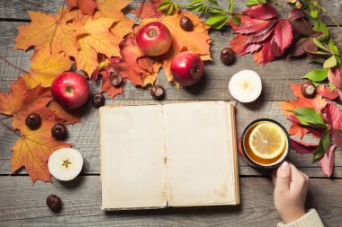 Sonbahar kavramı. Metin ve çay için alanı ile Vintage albüm elinde, dekor sonbahar yaprakları, ahşap tahta üzerinde elma.