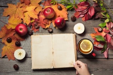 Sonbahar kavramı. Vintage albüm el ile metin ve çay için boşluk dekor sonbahar yaprakları, ahşap tahta üzerinde elma.