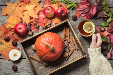 Çay el kabak, elma ve sonbahar dekorasyonu ile ısınma ahşap bir vintage gemide bırakır.
