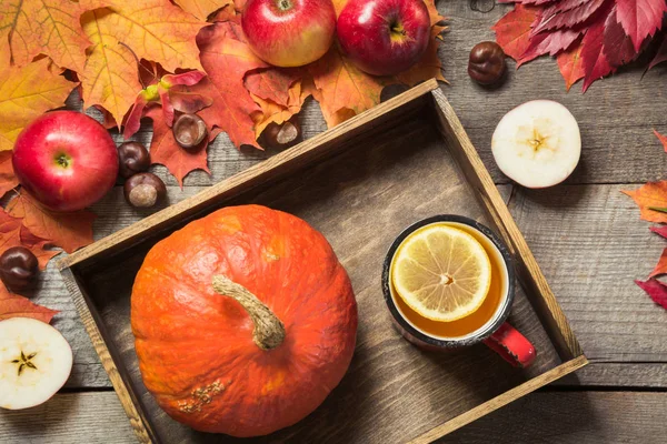 Quente xícara de chá com uma decoração de abóboras, maçãs e folhas de outono em uma placa vintage de madeira . — Fotografia de Stock