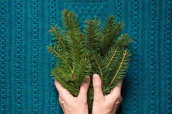 Frauenhände halten Tannenzweige auf blauem Strickgrund. Weihnachtskonzept. — Stockfoto