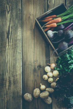 Havuç, kırmızı pancar, soğan, sarımsak eski ahşap tahta üzerinde taze sebze hasat. Üstten Görünüm, rustik tarzı. Sonbahar natürmort. Bahçe. Kopya alanı.