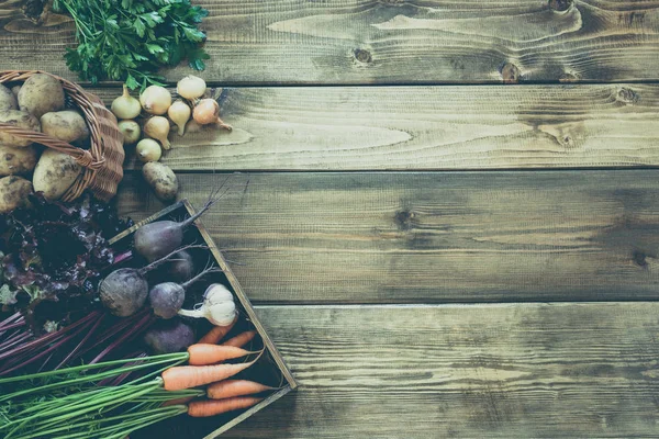 Havuç, kırmızı pancar, soğan, sarımsak eski ahşap tahta üzerinde taze sebze hasat. Üstten Görünüm, rustik tarzı. Sonbahar natürmort. Bahçe. Kopya alanı.