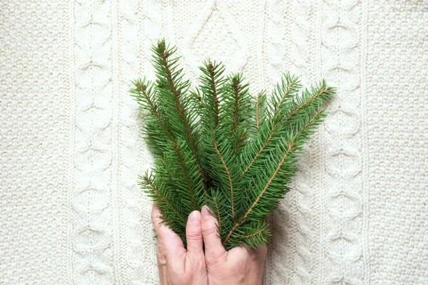 Las manos femeninas sostienen las ramas de los árboles de Navidad sobre un fondo blanco de punto. Vista superior . — Foto de Stock