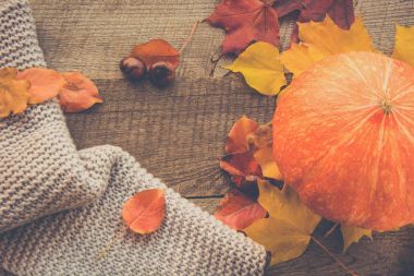 Sonbahar natürmort. Sonbahar yaprakları, sıcak eşarp ve ahşap üzerine kabak