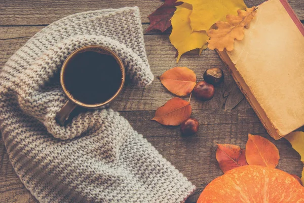 Fincan kahve, rahat örme eşarp, sonbahar yaprakları, kitap ve pumpk