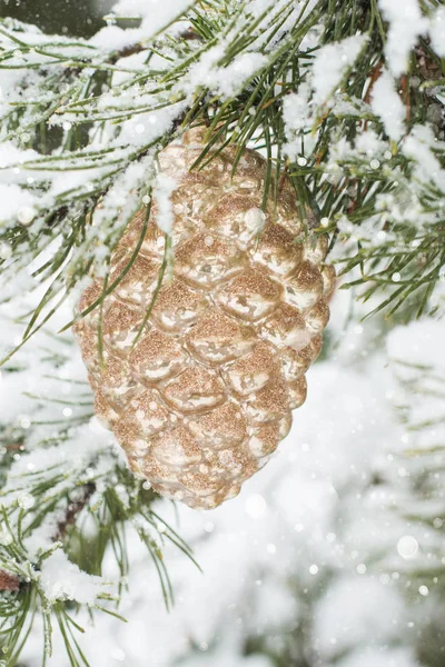 Vánoční hračky jako zlatý kužel na větev borovice pokryté sněhem. Venku. — Stock fotografie