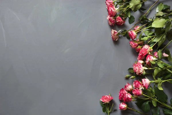 灰色の背景にピンクのブッシュのバラの花束。平面図です。コピー スペース. — ストック写真