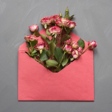 Kırmızı zarf gri arka plan, üstten Görünüm noktası üzerinde pembe Gül açıldı. Kavramı.