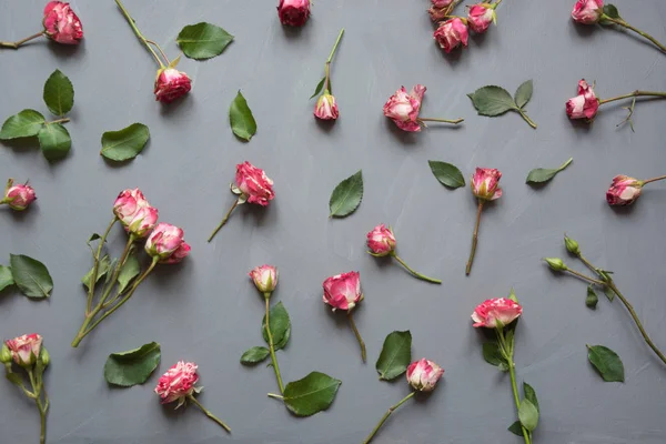 Patrón floral hecho de rosas rosadas arbusto, hojas verdes sobre fondo gris. Asiento plano, vista superior. Fondo de San Valentín. Patrón floral . —  Fotos de Stock