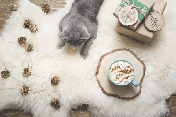 Vánoční přání. Šálek kávy, britská kočka, ručně vyrobené dárky. Odpočinek doma. Pohled shora. Kopírovat prostoru. Matný obraz. — Stock fotografie